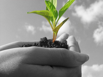 Η πλατεία Κουλέ Καφέ «πρασινίζει»